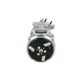 Acquista Compressore aria condizionata da BV PSH 090.225.025.876 a buon mercato per soli 367,90 €