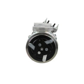 Acquista Compressore aria condizionata da BV PSH 090.505.035.876 a buon mercato per soli 347,34 €