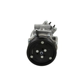 Acquista Compressore aria condizionata da BV PSH 090.575.055.240 a buon mercato per soli 322,46 €