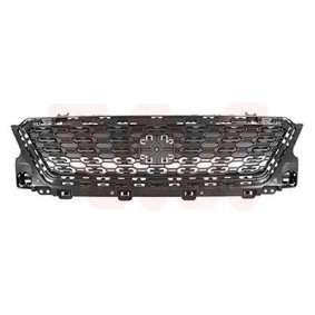 Kühlergrill 4906510