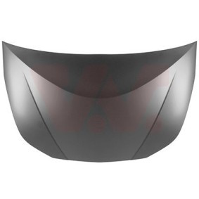 Motorhaube 5460670