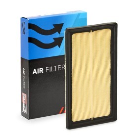 Luftfilter CAF101220P