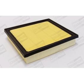 Luftfilter CAF101221P