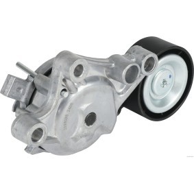 Comprar Tensor de correa poli V de HERTH+BUSS JAKOPARTS J1142127 a bajo precio de 82,08 €