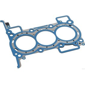 Acquista Guarnizione testata da HERTH+BUSS JAKOPARTS online per Colt VII (VB) a prezzi moderati