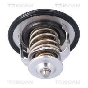 Kühlwasserthermostat 8620 55191