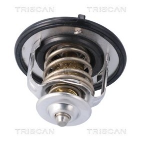 Kühlwasserthermostat 8620 55291