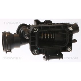 Thermostat von TRISCAN für Scudo III Pritsche / Fahrgestell günstig online kaufen