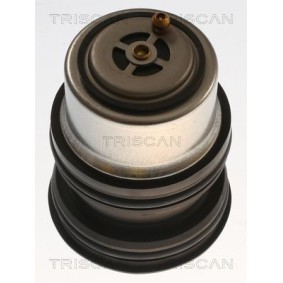 Kühlwasserthermostat von TRISCAN