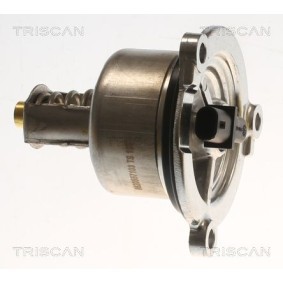 Thermostat von TRISCAN für 911 Coupe (992) günstig online kaufen