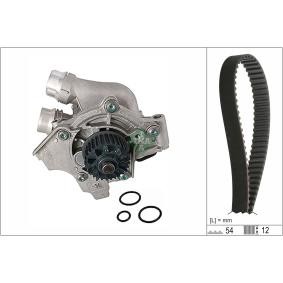 Achetez des Kit de distribution + pompe à eau INA 530 0845 30 à prix pour 218,37 €