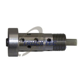 Acquista Valvola centrale, Regolazione albero a camme da TRUCKTEC AUTOMOTIVE 02.12.269 a buon mercato per soli 50,05 €