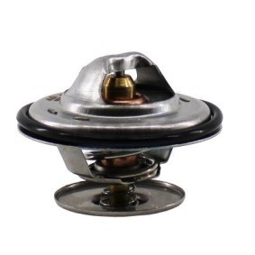 Kühlwasserthermostat für MAN von MEAT & DORIA