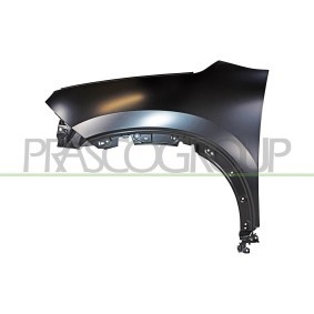 Kotflügel CI5273014 von PRASCO günstig für 268,81 € online kaufen