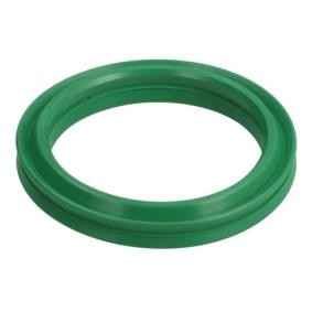 Köp Tätningsring, laddluftslang av THERMOTEC DCR279TT till det låga priset 149,34 kr