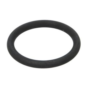 Dichtring, Ladeluftschlauch von THERMOTEC für MEGANE II Coupé-Cabriolet (EM0/1_) günstig online kaufen