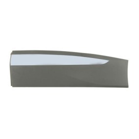 Comprar Listón embellecedor / protector, puerta de BLIC 5703-04-9584573P a bajo precio de 21,36 €