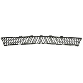 Lüftungsgitter, Stoßfänger 6502-07-3531980P