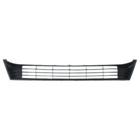 Kühlergrill 6502-07-8119995P