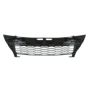 Kühlergrill 6502-07-8156992P