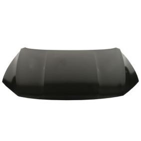 Motorabdeckung 6601-02-3176861P