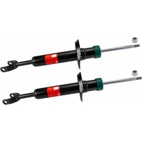 Stoßdämpfer JGS134T von TRW günstig für 62,16 € online kaufen