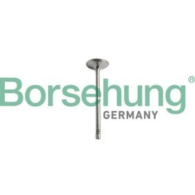 Einlaßventil B10351