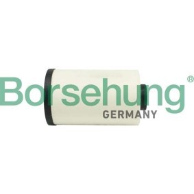 Hydraulikfilter, Automatikgetriebe von Borsehung B12417
