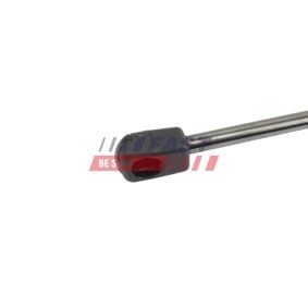 Heckklappendämpfer FT00192K von FAST günstig für 17,06 € online kaufen