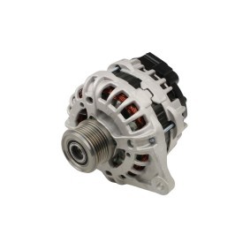 Kjøp Dynamo av FAST FT74066 til den lave prisen 3566,63 NOK