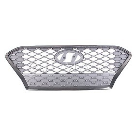 Kühlergrill 21301685