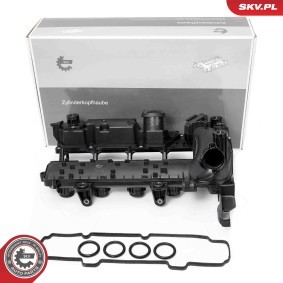 Achetez des Cache-culbuteur ESEN SKV 48SKV099 à prix pour 130,05 €