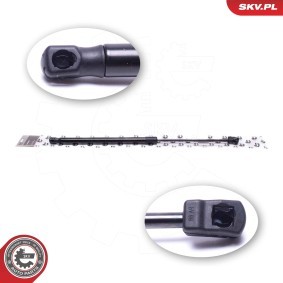 Heckklappendämpfer 52SKV781