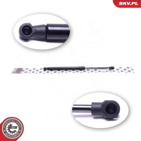 Heckklappendämpfer 52SKV787