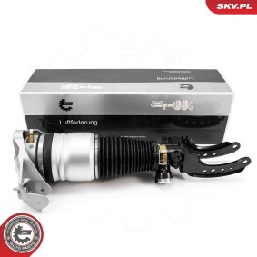 Acquista Ammortizzatore pneumatico da ESEN SKV 58SKV704 a buon mercato per soli 654,56 €