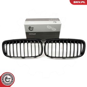 Kühlergrill 66SKV039
