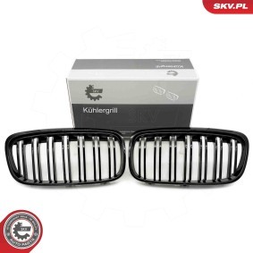 Kühlergrill 66SKV040