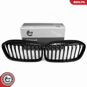Kühlergrill 66SKV041