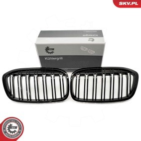 Kühlergrill 66SKV042