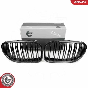 Kühlergrill 66SKV221