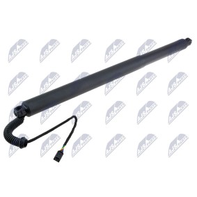 Heckklappe-Motor AE-SK-038 von NTY günstig für 131,84 € online kaufen