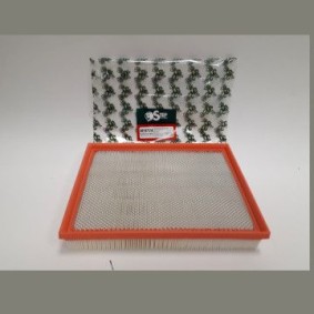 Kjøp Luftfilter av STEP FILTERS AE8724 til den lave prisen 401,33 NOK