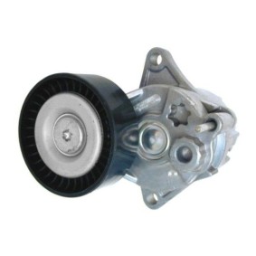 Compre Tensor de correia, correia trapezoidal estriada da GOOM BT-0031 a um preço baixo por 46,40 €