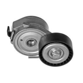 Compre Tensor de correia, correia trapezoidal estriada da GOOM BT-0055 a um preço baixo por 42,45 €