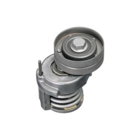 Comprar Tensor de correa poli V de GOOM BT-0060 a bajo precio de 38,22 €