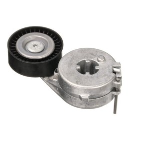 Comprar Tensor de correa poli V de GOOM BT-0076 a bajo precio de 48,49 €