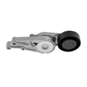 Comprar Tensor de correa poli V de GOOM BT-0077 a bajo precio de 48,15 €