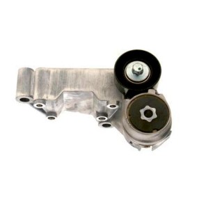 Comprar Tensor de correa poli V de GOOM BT-0079 a bajo precio de 100,38 €