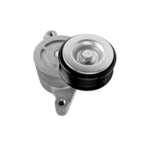 Comprar Tensor de correa poli V de GOOM BT-0080 a bajo precio de 108,38 €