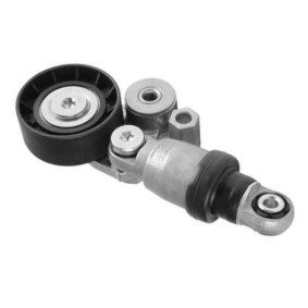 Comprar Tensor de correa poli V de GOOM BT-0081 a bajo precio de 89,71 €